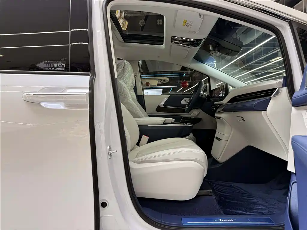 2025 Century 2.0T 7-seat Yunshe Edition