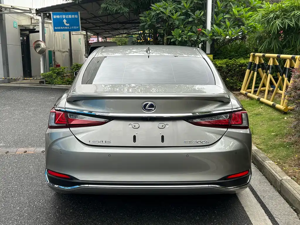 Lexus ES 2018 300h Excellence Edition National V