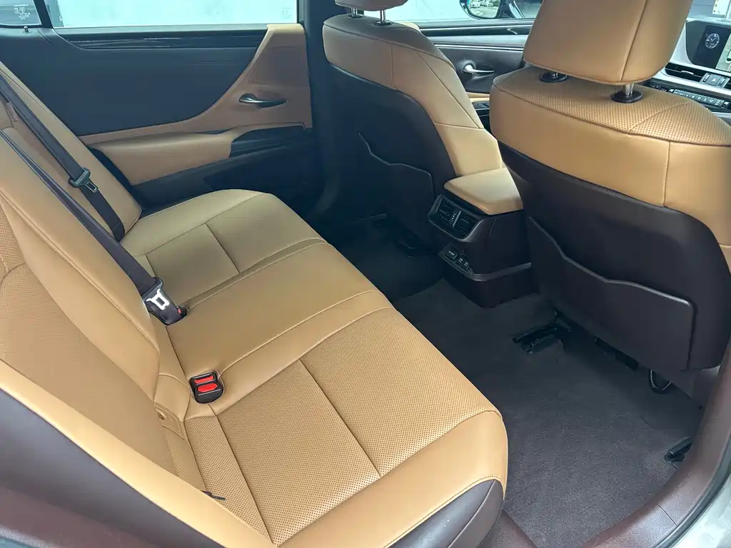 Lexus ES 2018 300h Excellence Edition National V