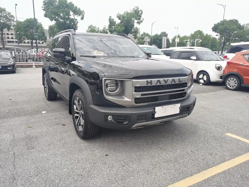 Haval Dog 2024 1.5T DCT Border Collie Edition