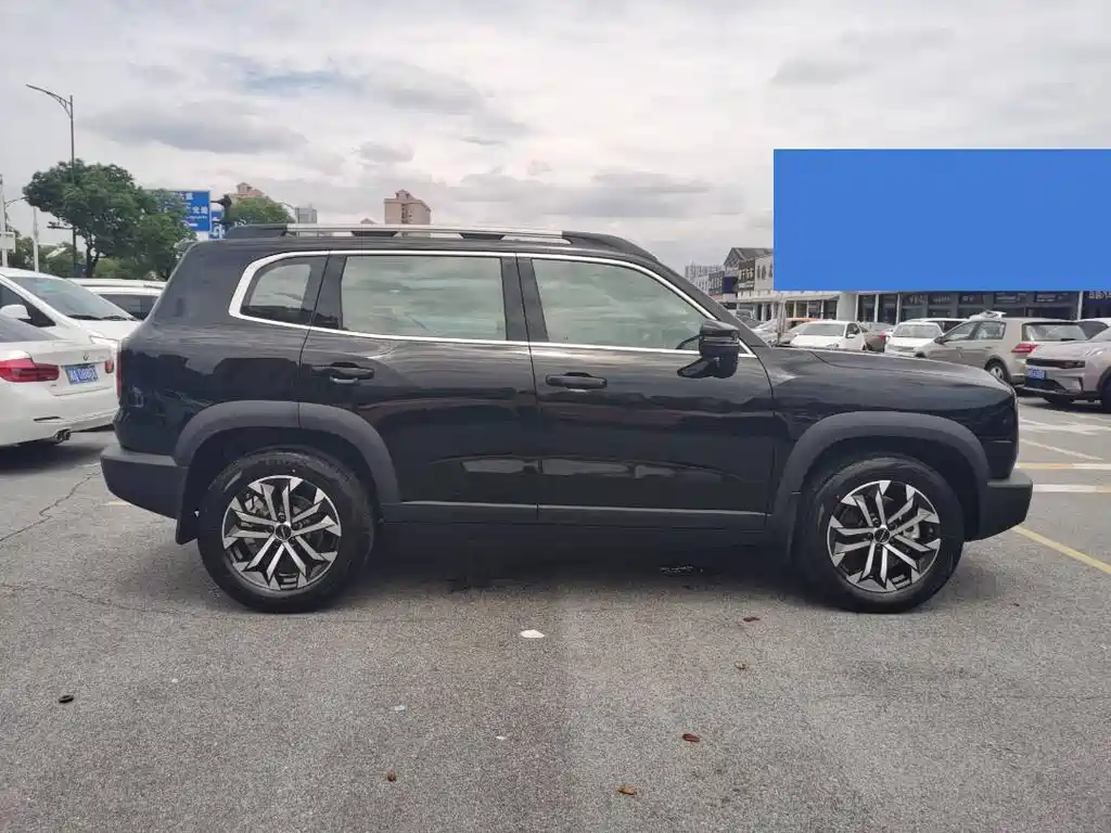 Haval Dog 2024 1.5T DCT Border Collie Edition