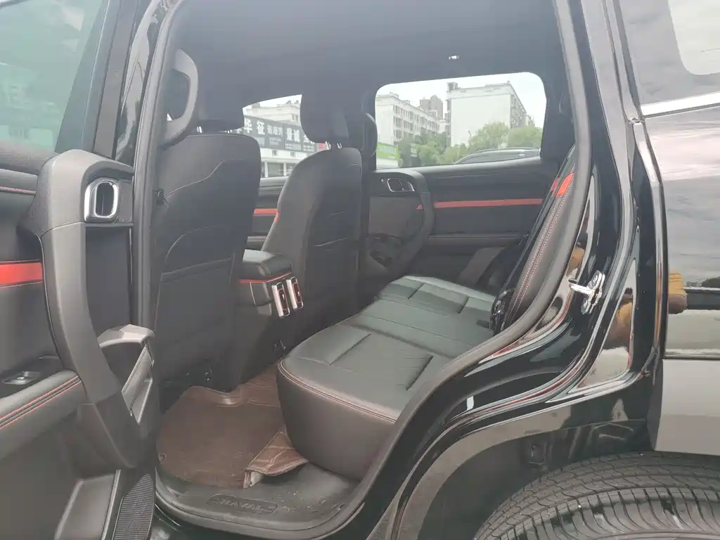 Haval Dog 2024 1.5T DCT Border Collie Edition