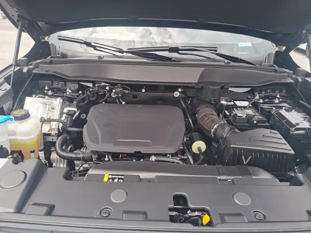 Haval Dog 2024 1.5T DCT Border Collie Edition