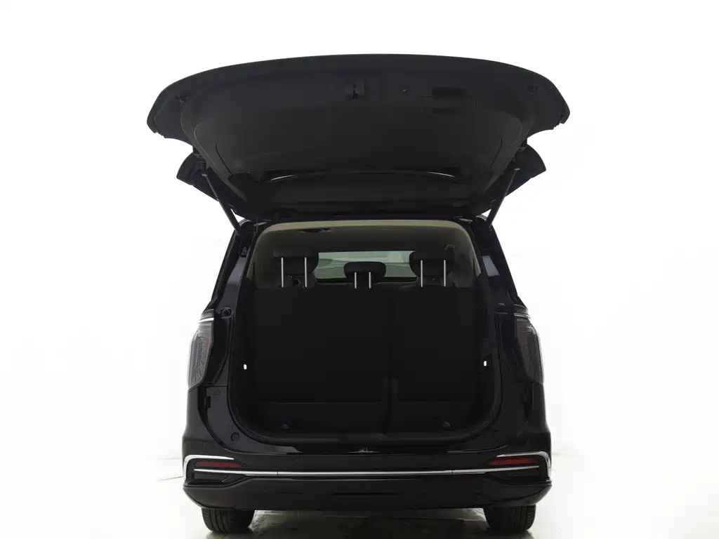红旗HQ9 PHEV 2024 Edition 2.0T All-Wheel Drive Luxury Version