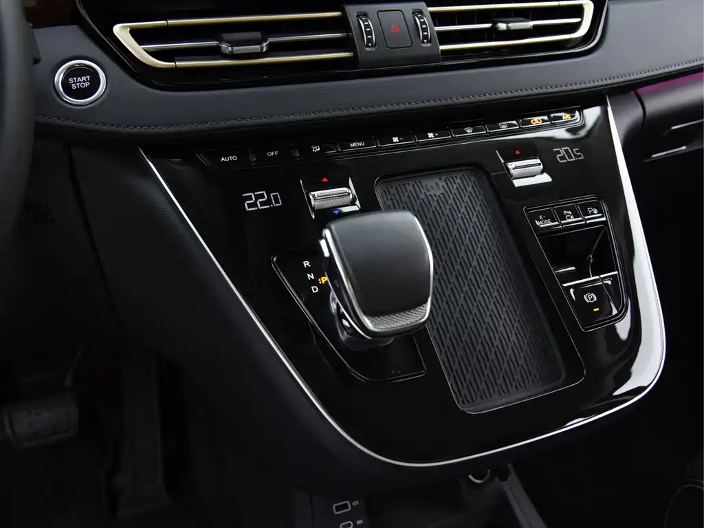 红旗HQ9 PHEV 2024 Edition 2.0T All-Wheel Drive Luxury Version