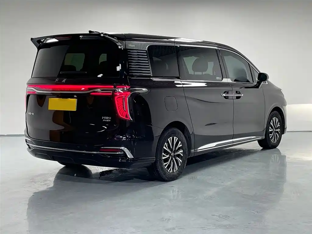 红旗HQ9 PHEV 2024 Edition 2.0T All-Wheel Drive Luxury Version