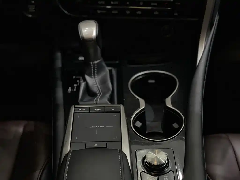 Lexus RX 2020 300 Two-wheel Drive Elite Edition National VI
