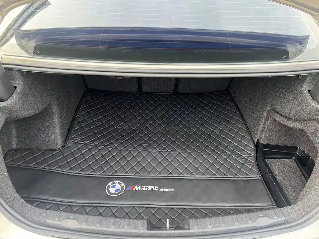 BMW 3 Series 2018 318Li