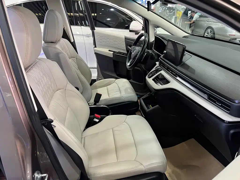 Elicheer 2022 2.0L e:HEV Luxury Edition
