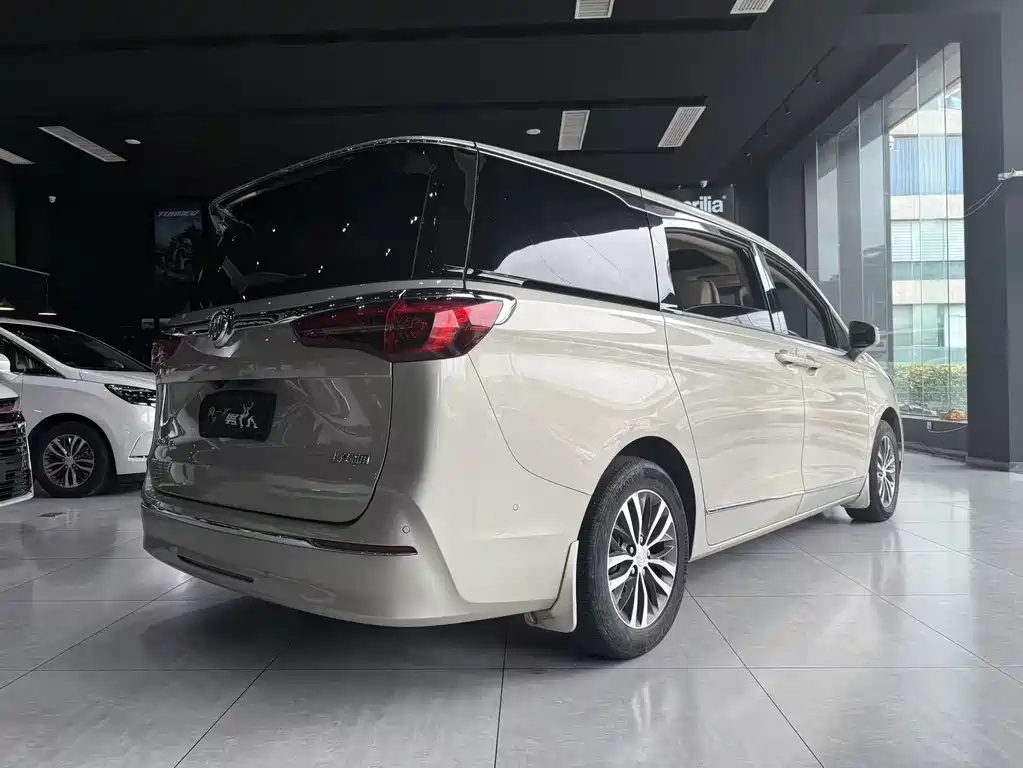 Buick GL8 2022 ES Luxury 653T