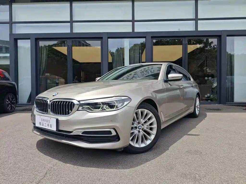 BMW 5 Series 2020 530Li Leading Edition Luxury Package