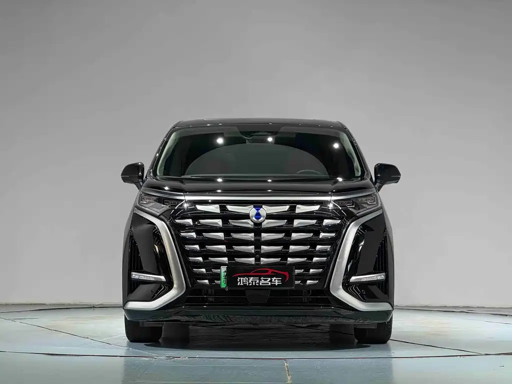 Tengri D9 2024 Model DM-i 980 All-Wheel Drive Flagship Edition