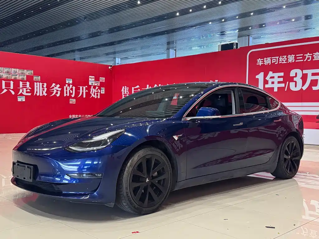 Model 3 Long Range Rear-Wheel Drive 2019 Import Edition