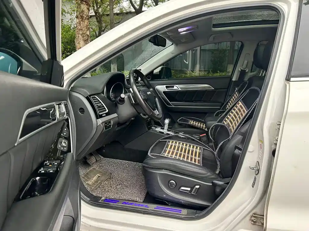Harvest H6 Coupe 2017 Blue Label 2.0T Automatic Two-Wheel Drive Elite Edition