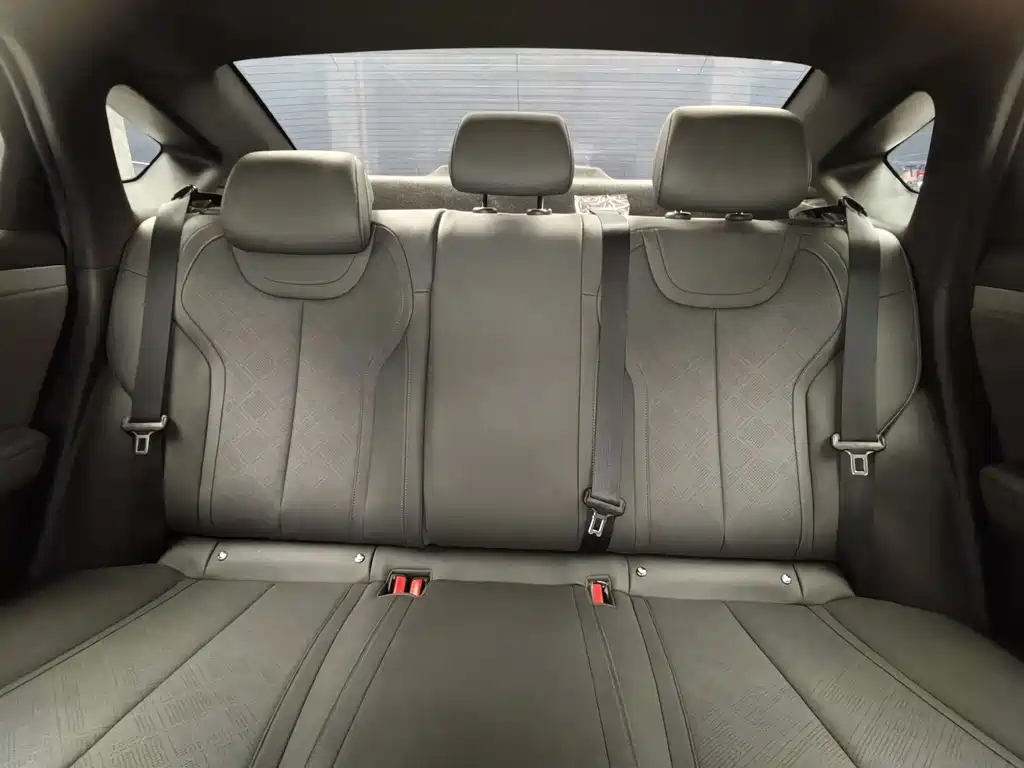 Qin Plus 2025 Model DM-i Smart Drive Edition 55KM Leading Version