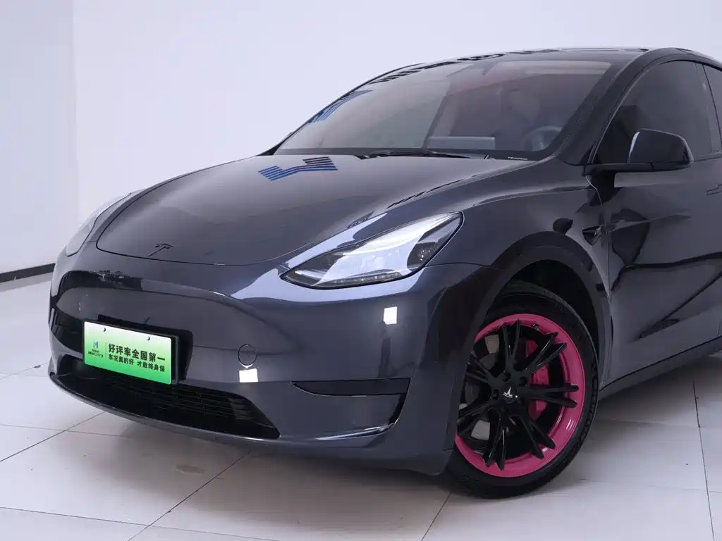 Model Y 2024 Rear-Wheel Drive Edition