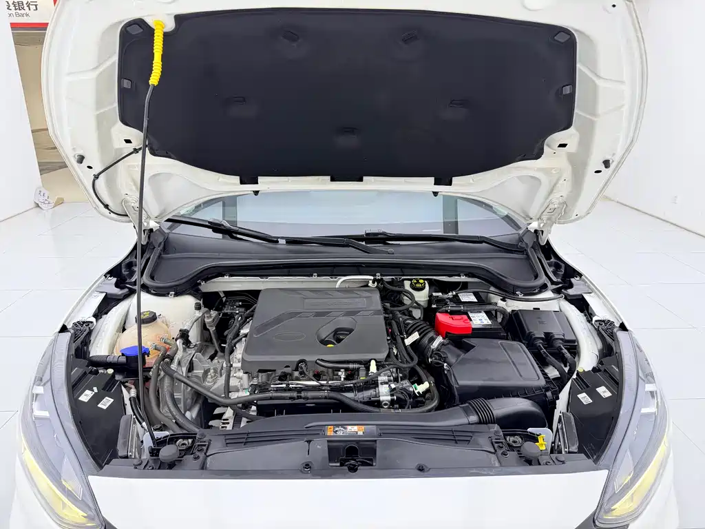 Ford Focus 2021 EcoBoost 180 Automatic Trend Edition