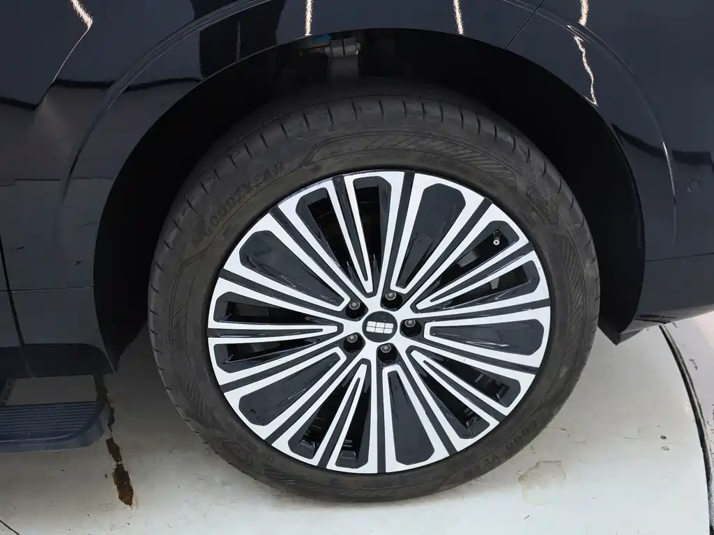 Galaxy M9 2025 Edition 210km All-Wheel Drive Leading Edition