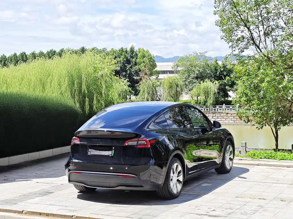 Model Y 2022 Rear-Wheel Drive Edition
