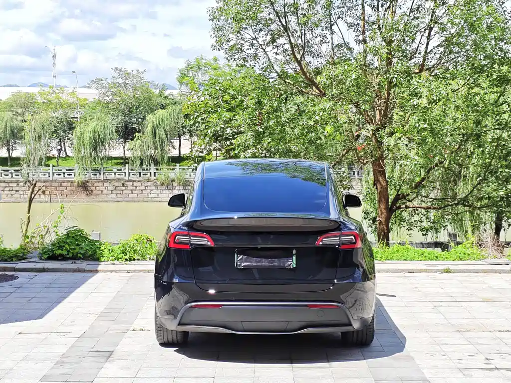 Model Y 2022 Rear-Wheel Drive Edition