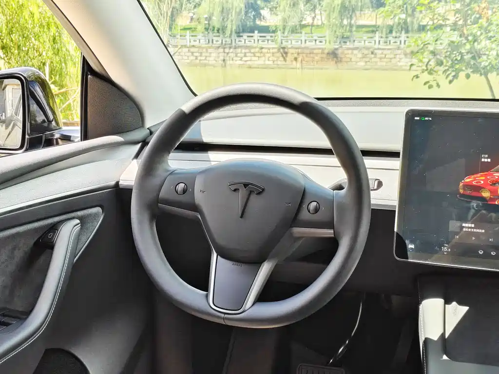 Model Y 2022 Rear-Wheel Drive Edition