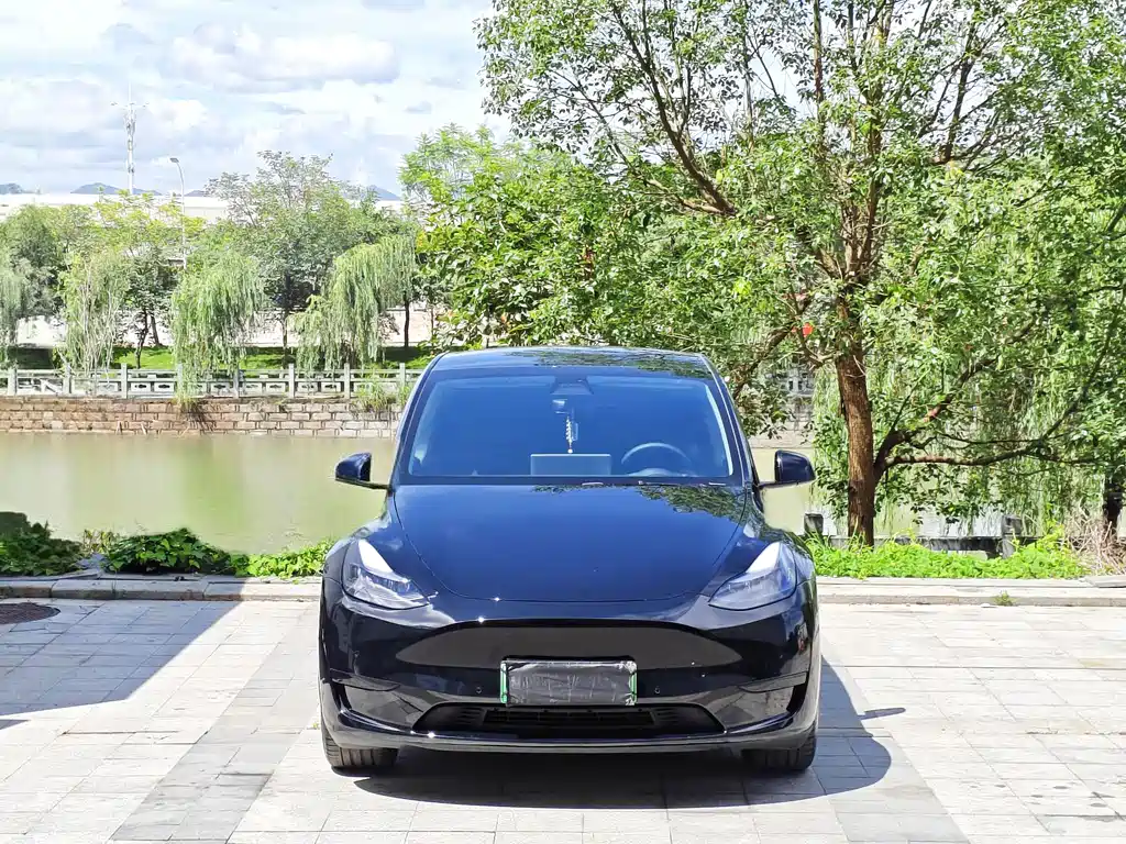 Model Y 2022 Rear-Wheel Drive Edition