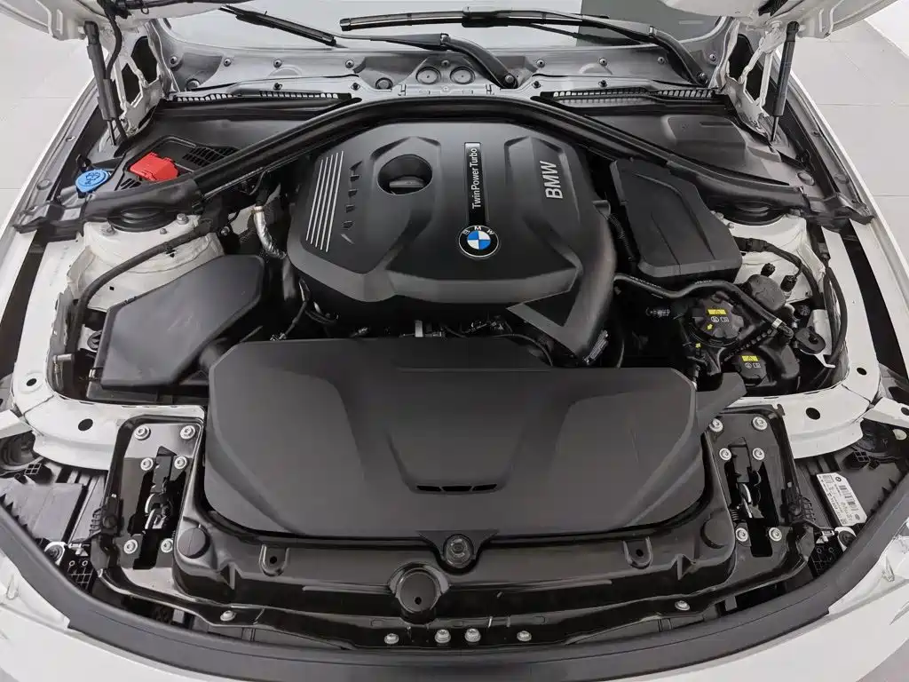 BMW 3 Series 2019 320Li Fashion Edition