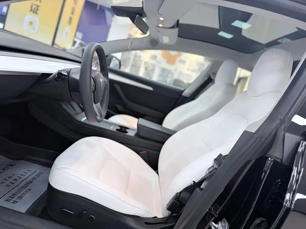 Model 3 Rear-Wheel Drive 2022