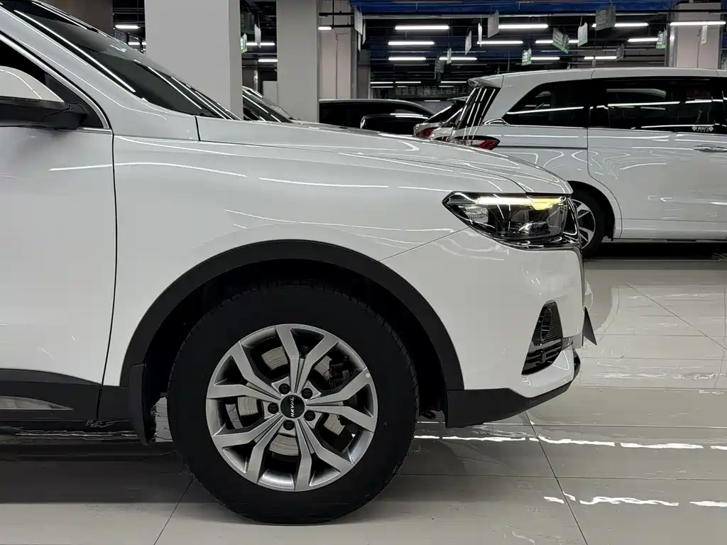 Haval H6 2021 Model National Style Edition 1.5T Automatic Champion Edition