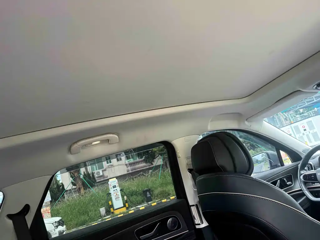Ruihu 9 2024 Edition 2.0T Automatic Two-Wheel Drive Super Comfort尊享版