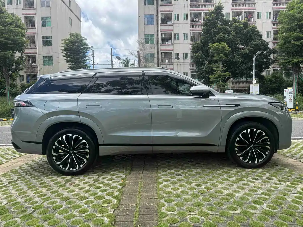 Ruihu 9 2024 Edition 2.0T Automatic Two-Wheel Drive Super Comfort尊享版
