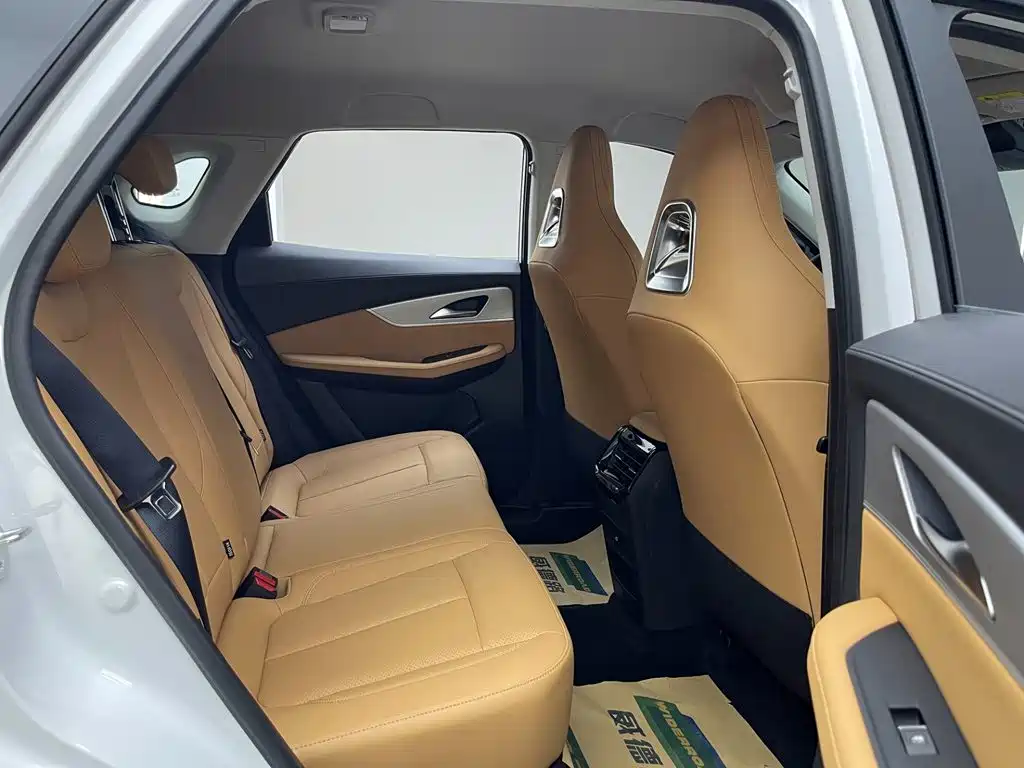 Star Sea T5 2026 Edition 530km Premium Version