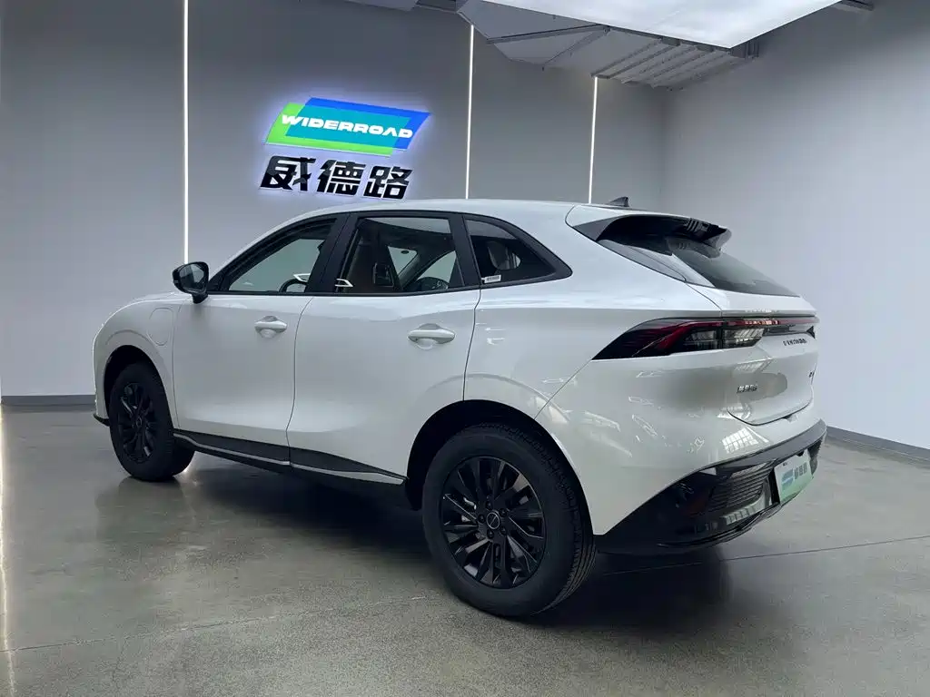 Star Sea T5 2026 Edition 530km Premium Version