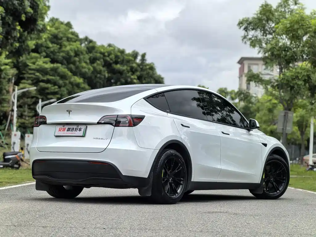 Model Y 2022 Rear-Wheel Drive Edition