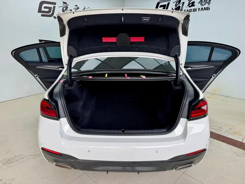BMW 5 Series Import 2021 530i M Sport Package
