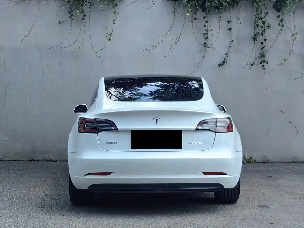 Model 3 Long Range Rear-Wheel Drive Upgrade 2020