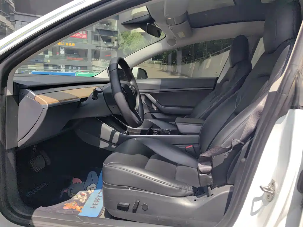 Model 3 Long Range Rear-Wheel Drive Upgrade 2020