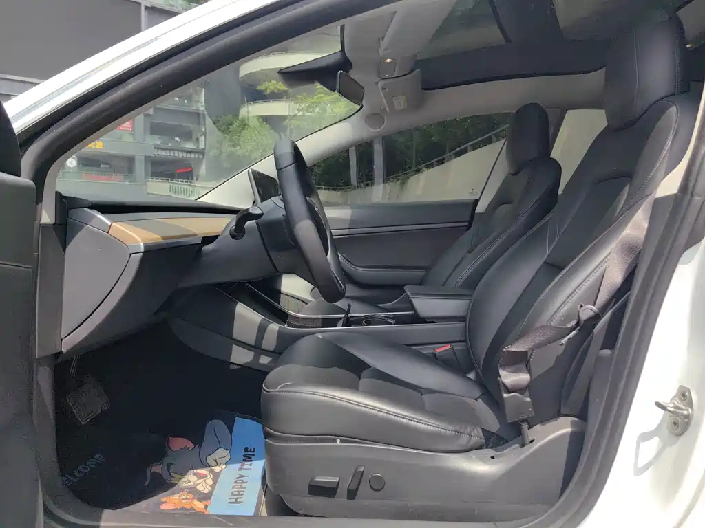 Model 3 Long Range Rear-Wheel Drive Upgrade 2020