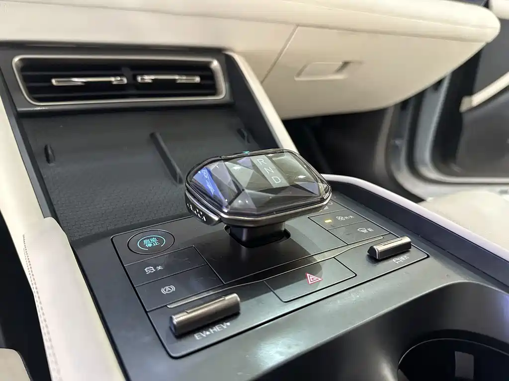Qin L 2024 DM-i 80KM Surpassing Edition