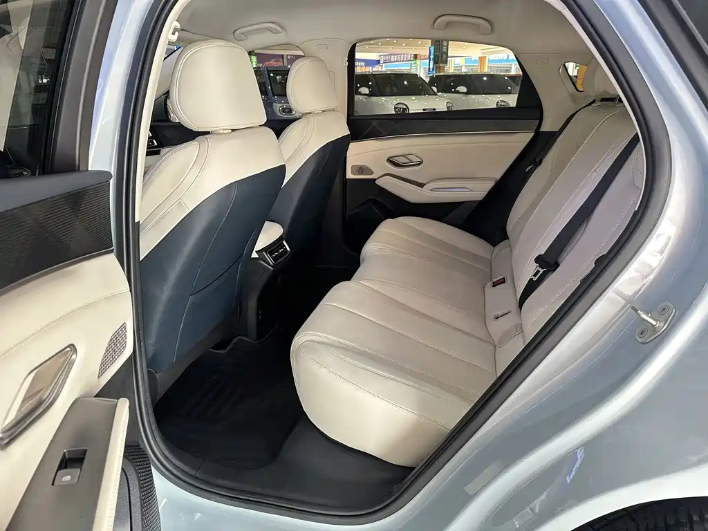Qin L 2024 DM-i 80KM Surpassing Edition