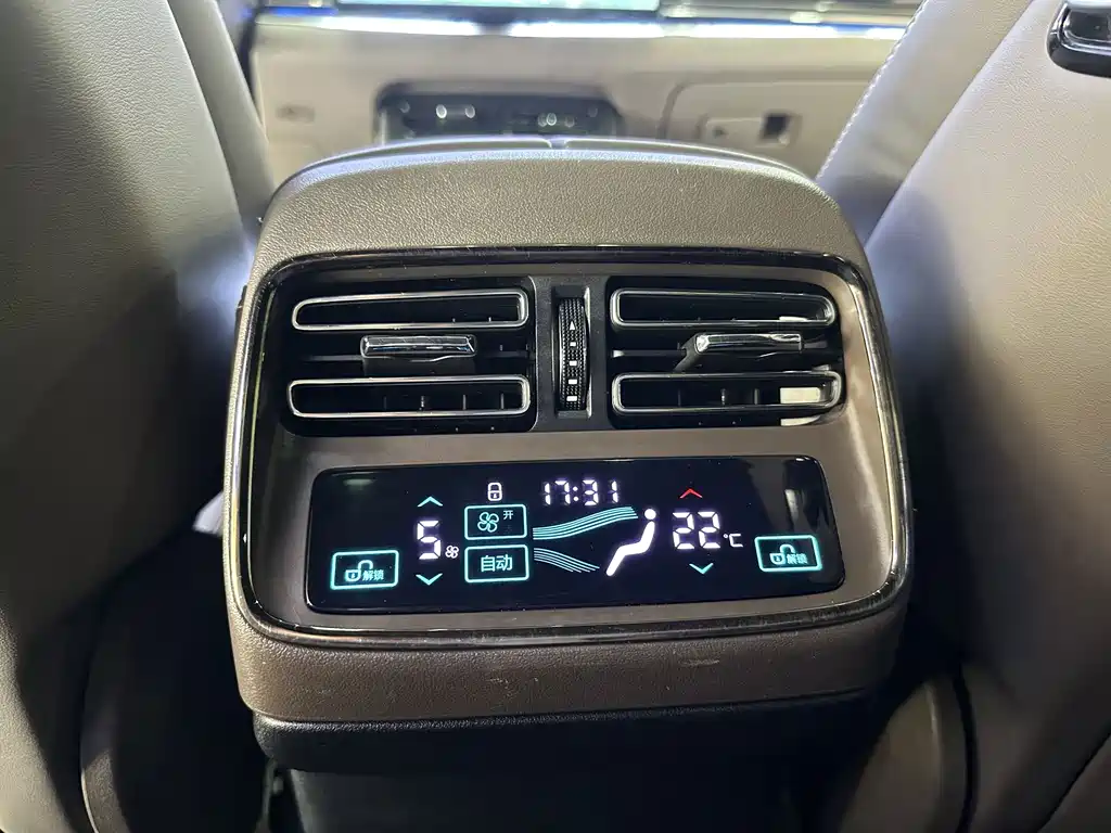 Han 2020 DM Four-Wheel Drive Performance Edition Prestige Model