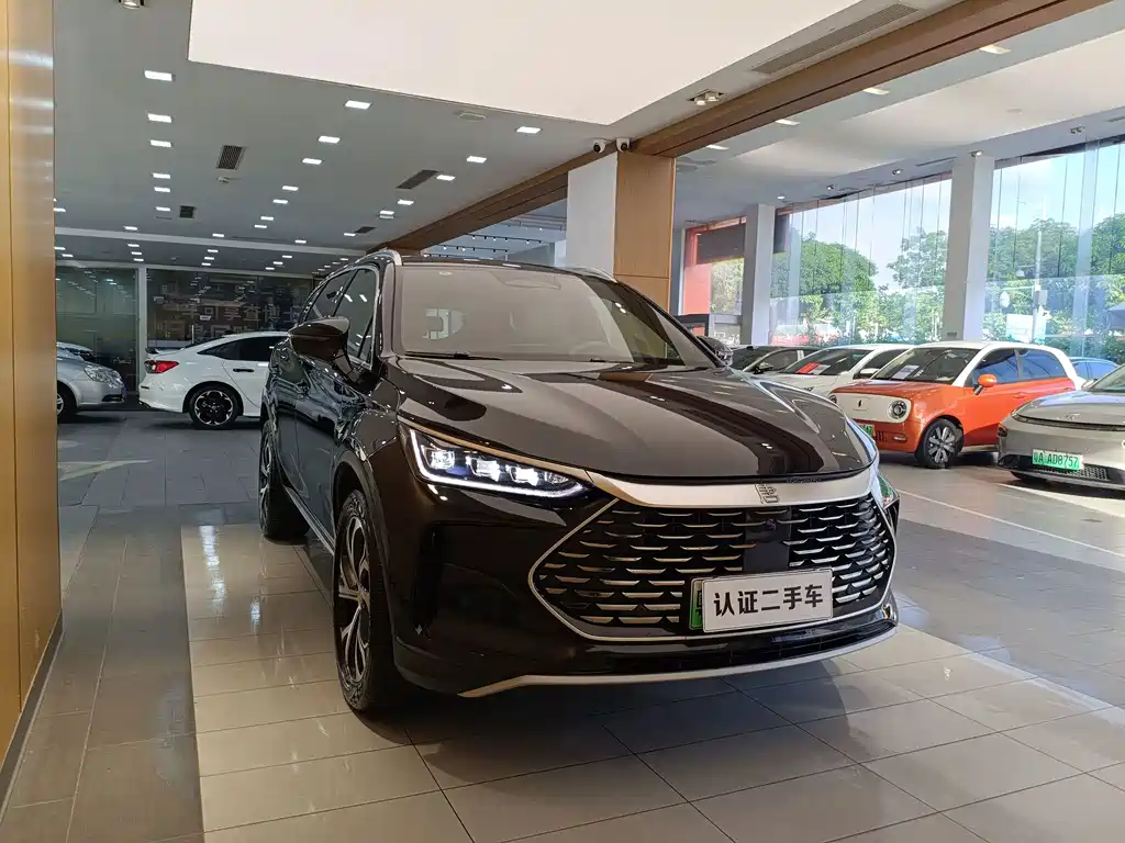 Tang New Energy 2025 Model Intelligent Driving Edition DM-i 115KM Flagship Type