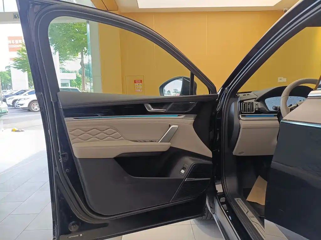 Tang New Energy 2025 Model Intelligent Driving Edition DM-i 115KM Flagship Type