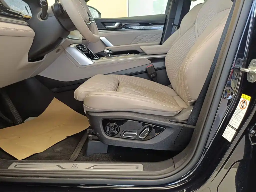 Tang New Energy 2025 Model Intelligent Driving Edition DM-i 115KM Flagship Type