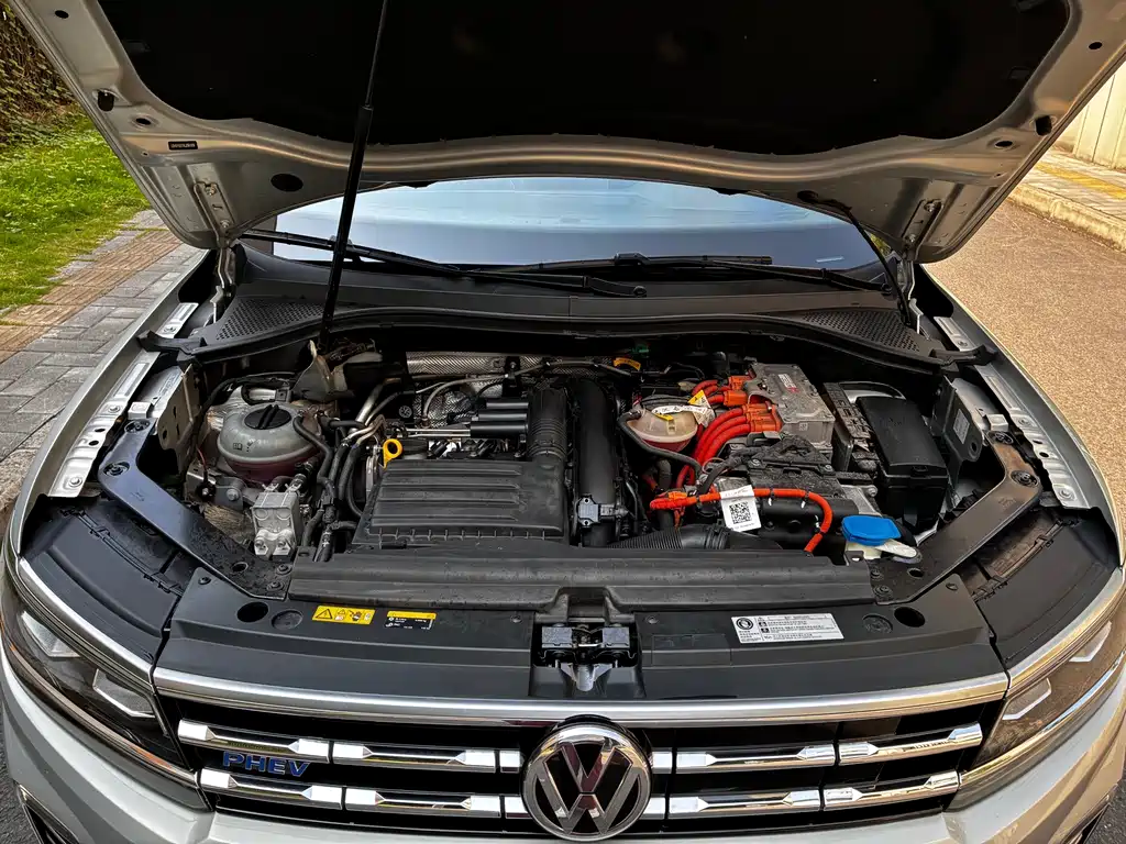 Tiguan L PHEV 2020 430 PHEV Plug-in Hybrid Flagship Edition