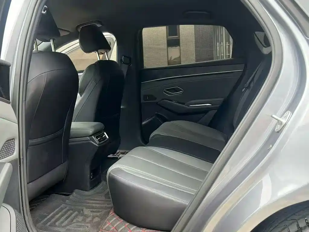 Qin L 2024 DM-i 80KM Leading Edition