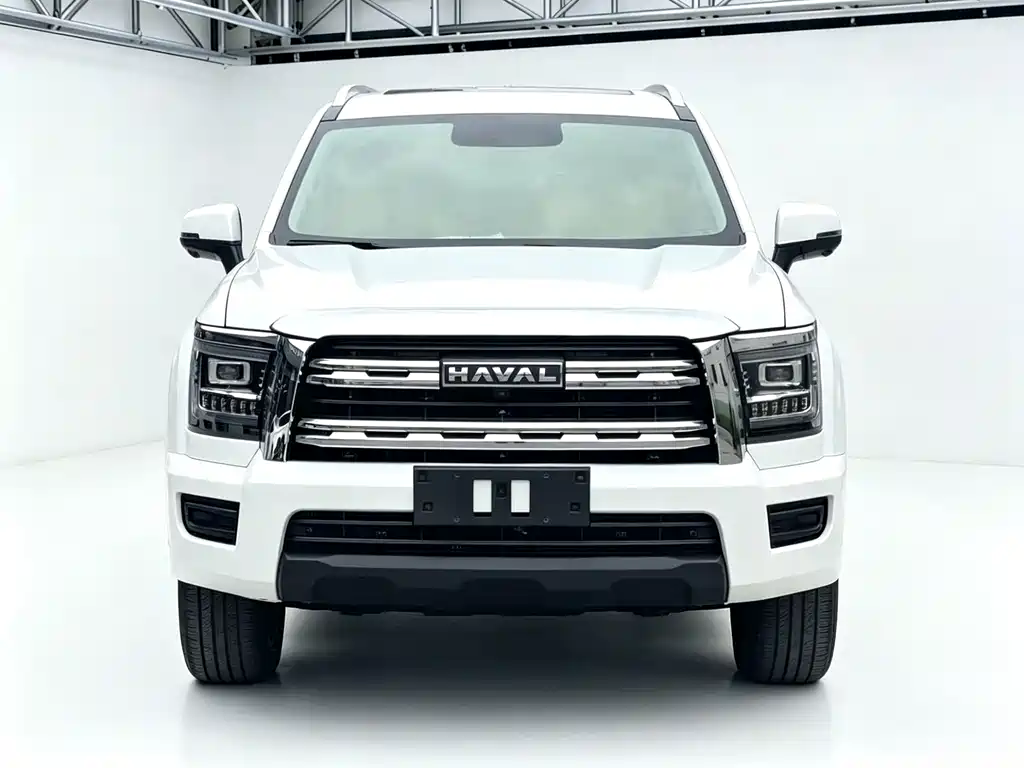 Haval H5 2023 2.0T Automatic 4WD Lingyin Gasoline