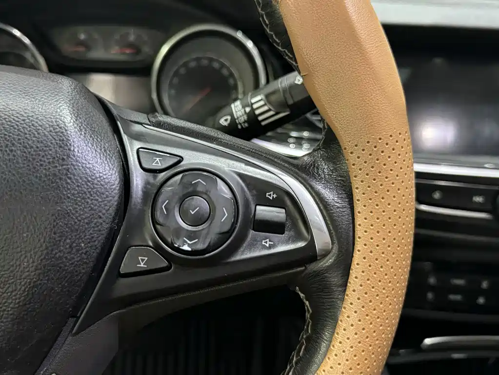 Jingwei 2019 20T Elite Type National VI