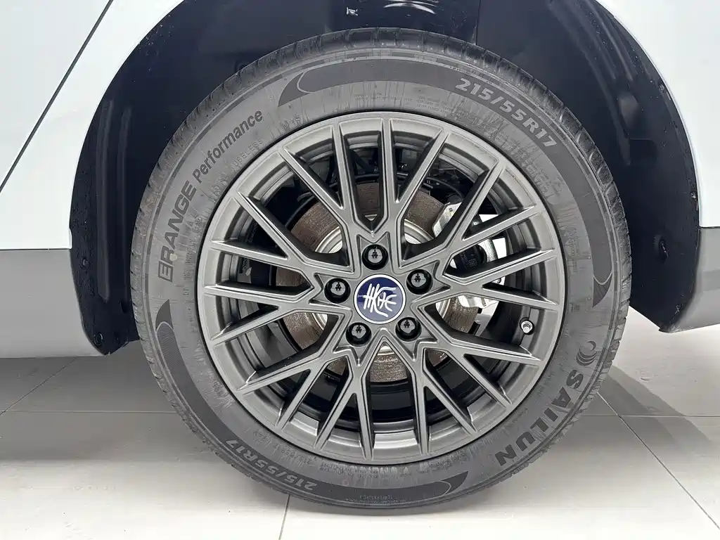Qin Plus 2025 EV Intelligent Driving Edition 510KM Advance Model