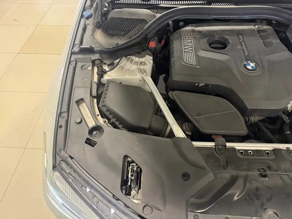 BMW 5 Series 2020 525Li Luxury Package